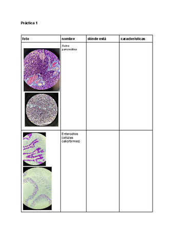 Practicas-biologia-celular-e-histologia.pdf