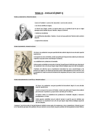 TEMA-III-EVOLUCIO-PART-I.pdf