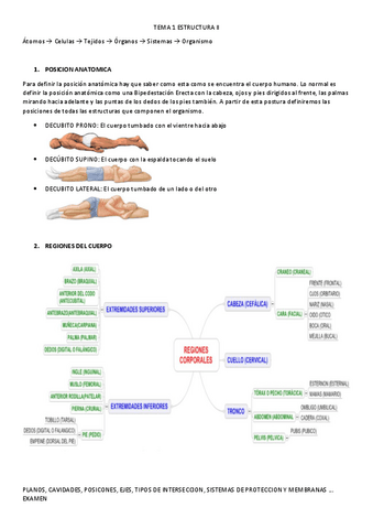 TEMA-1-EyF-II.pdf