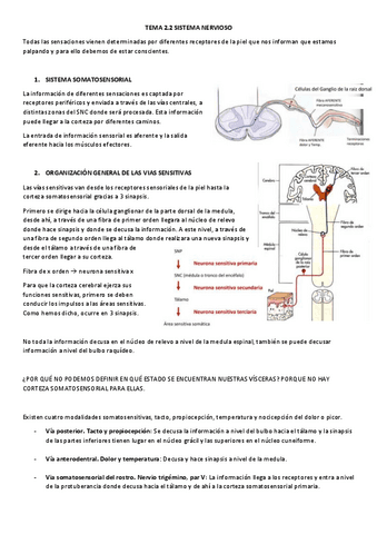 TEMA-2.2-EyF-II.pdf