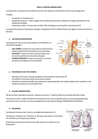 TEMA-4.1-EyF-II.pdf