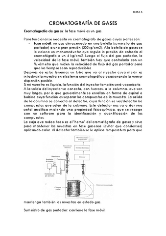 tema-CROMATOGRAFIA-DE-GASES.pdf
