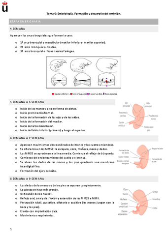 Bloque-Neuro-infantil.pdf