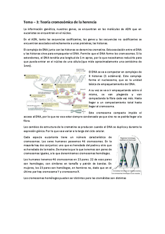 Genetica-T-3.pdf