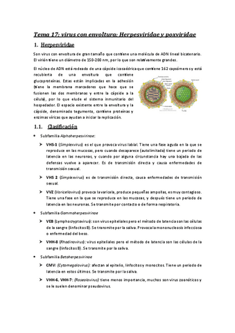 Tema 17 micro.pdf