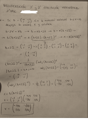 ejercicios-matematicas-resueltos-matrices-e-integrales-2BAC.pdf