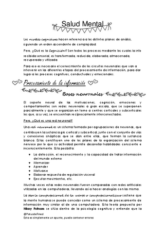 Salud-Mental-APUNTE.pdf