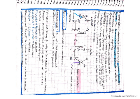 isomeriabioquimica.pdf