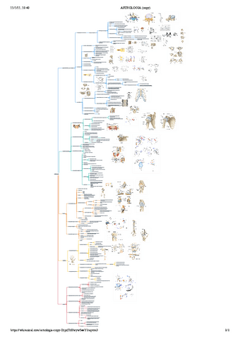 ARTROLOGIA-Extremidad-superior.pdf