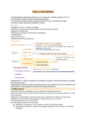 TEMA-3-lipidos.pdf