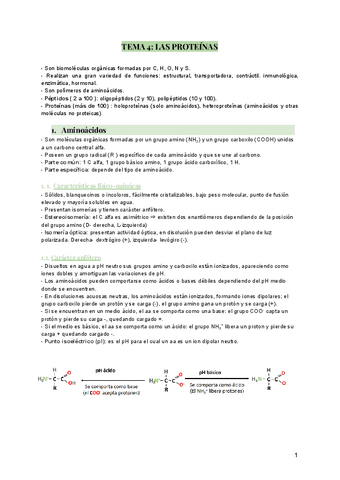TEMA-4-proteinas-enzimas-y-vitaminas.pdf