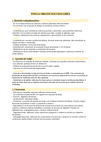 TEMA-6-organulos-celulares.pdf