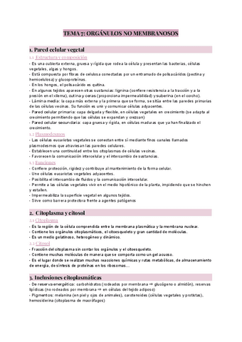 TEMA-7-organulos-no-membranosos.pdf