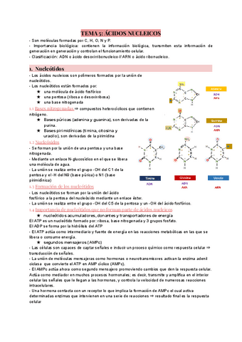 TEMA-5-acidos-nucleicos.pdf