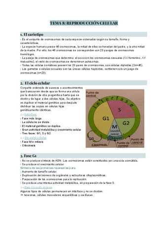 TEMA-8-reproduccion-celular.pdf