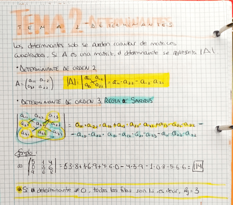Tema-2-DETERMINANTES.pdf