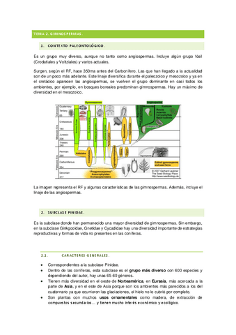 BCE-tema-2-gimnospermas.pdf