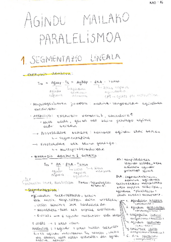 AginduMailakoParalelismoa.pdf