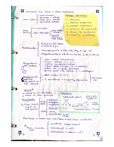 T.1-y-2-AGUA-SALES-MINERALES-Y-GLUCIDOS.pdf