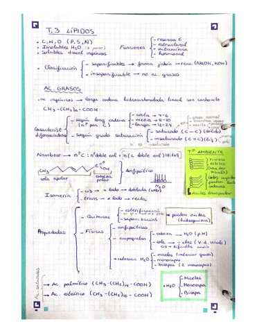 T.3-y-4-LIPIDOS-PROTEINAS-Y-ENZIMAS.pdf