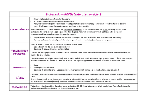 Tema-10-Higiene-II.pdf