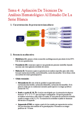 Desarrollo-tema-4-hemato.pdf