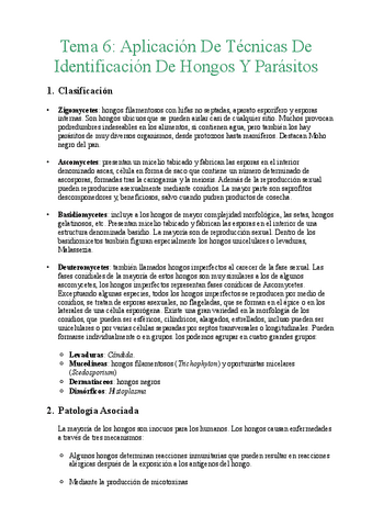 Caritas-tema-6-micro.pdf