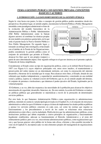 TEMA-6-TO.pdf