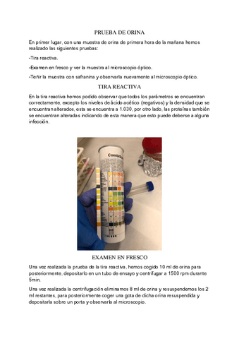 Analisis-rutinario.pdf