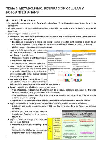 T.8-Metabolismo-respiracion-celular-y-fotosinteis.pdf