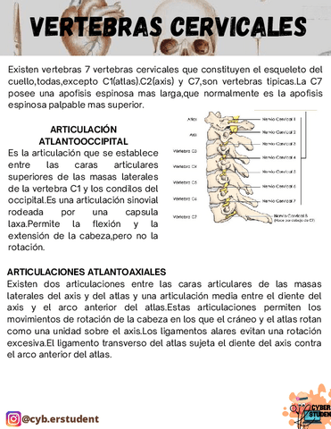 VERTEBRAS-CERVICALES.pdf