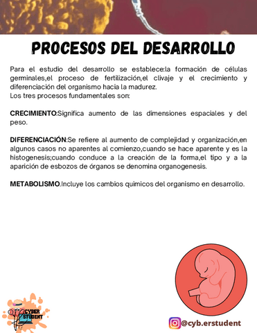 PROCESOS-DEL-DESARROLLO.pdf