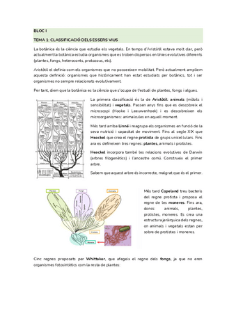 PRIMER-PARCIAL-BOTANICA-T-1-12.pdf