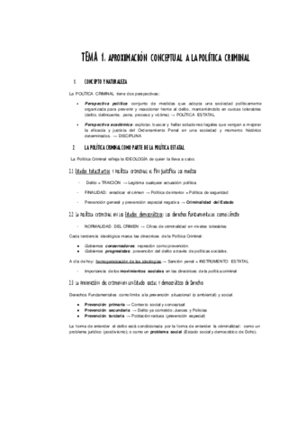 RESUMENES-POLITICA-CRIM.pdf