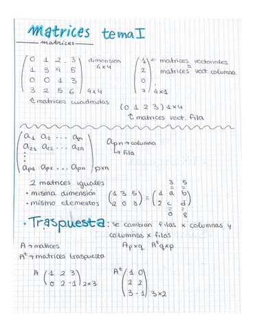 Matrices.pdf