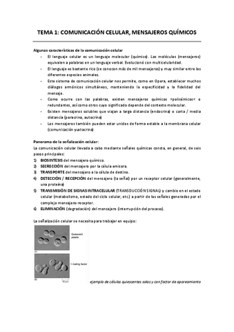 Apuntes-T1-Cancer.pdf