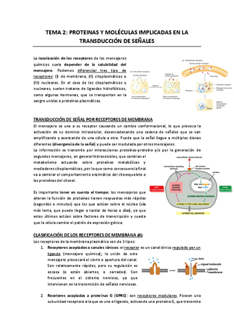 Apuntes-T2-Cancer.pdf