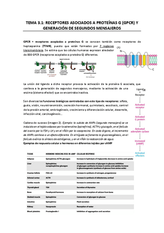 Apuntes-T3.1-Cancer.pdf