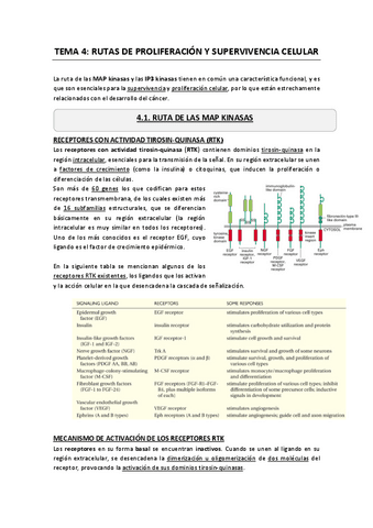 Apuntes-T4-Cancer.pdf