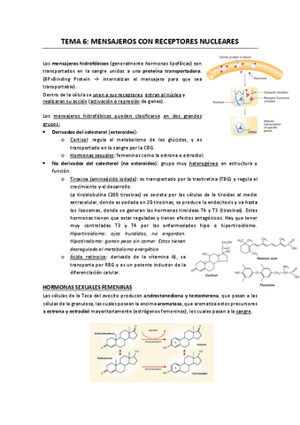 Apuntes-T6-Cancer.pdf