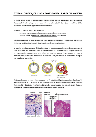 Apuntes-T8-Cancer.pdf