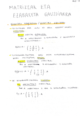 Matrizeak_Laburpenak.pdf