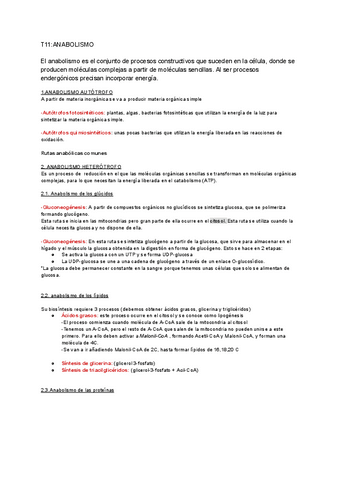 T11ANABOLISMO-Documentos-de-Google.pdf