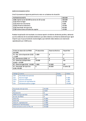 EJERCICIO-EXAMEN-COPSO.pdf