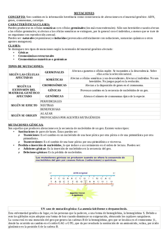 MUTACIONES-pdf.pdf