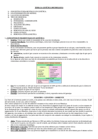 Apuntes-de-genetica-pdf.pdf