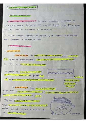APUNTES-PRACTICAS-MICROBIOLOGIA COMPLETOS.pdf