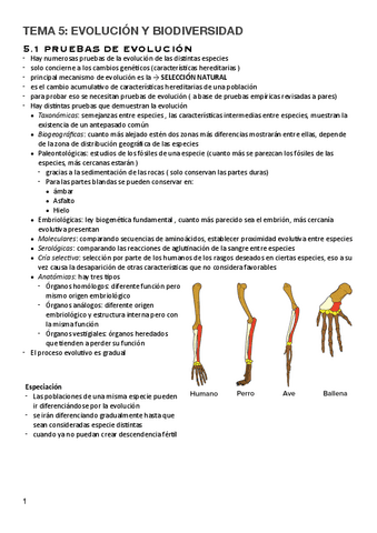 T.5-Evolucion-y-biodiversidad.pdf