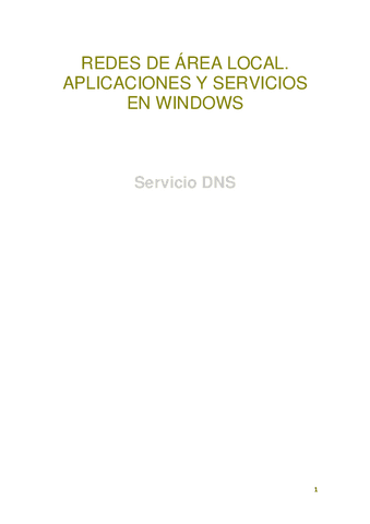 Instalacion-y-Configuracion-del-Servicio-DNS-en-Windows.pdf