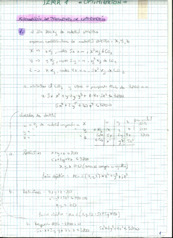 tema 1 de opti.pdf